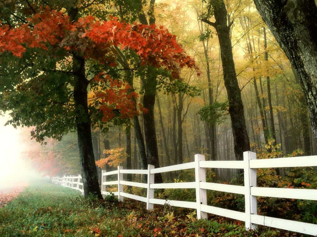 how to choose the best fence install contractor near me