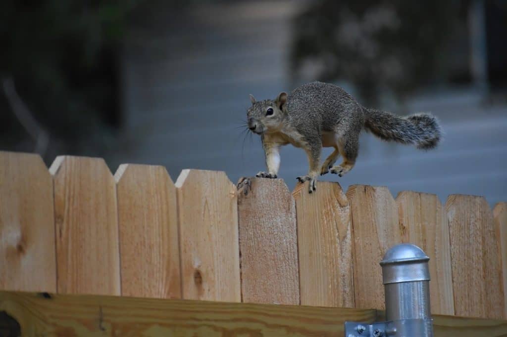 how much does a wood fence cost